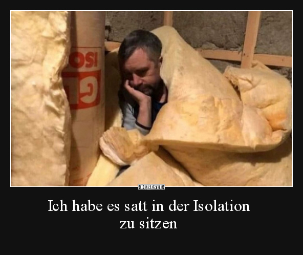 Ich habe es satt in der Isolation zu sitzen.. - Lustige Bilder | DEBESTE.de