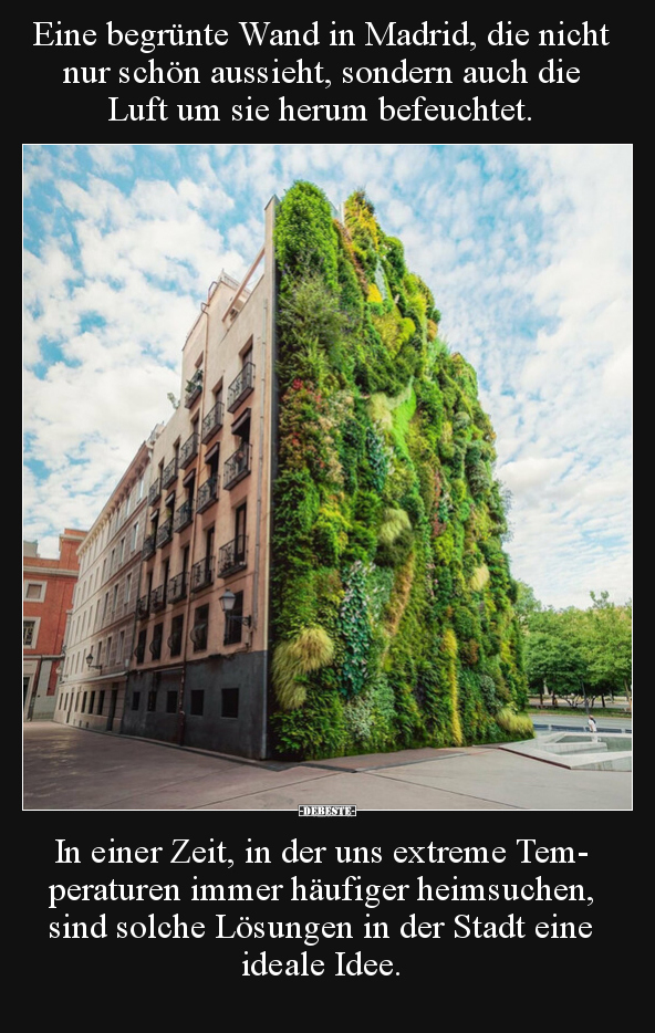 Eine begrünte Wand in Madrid, die nicht nur schön aussieht.. - Lustige Bilder | DEBESTE.de