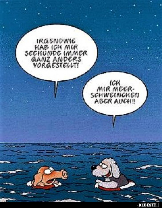 Irgendwie hab ich mir Seehunde immer ganz anders.. - Lustige Bilder | DEBESTE.de