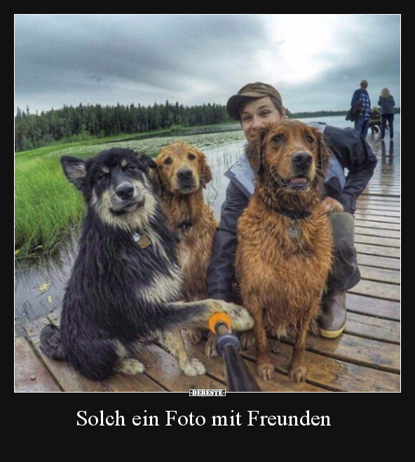 Solch ein Foto mit Freunden.. - Lustige Bilder | DEBESTE.de