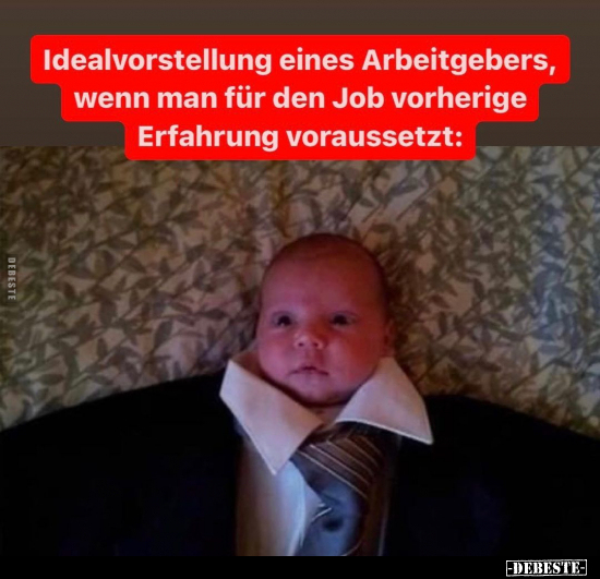 Idealvorstellung eines Arbeitgebers, wenn man für den Job.. - Lustige Bilder | DEBESTE.de