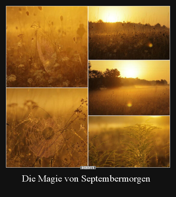 Die Magie von Septembermorgen.. - Lustige Bilder | DEBESTE.de