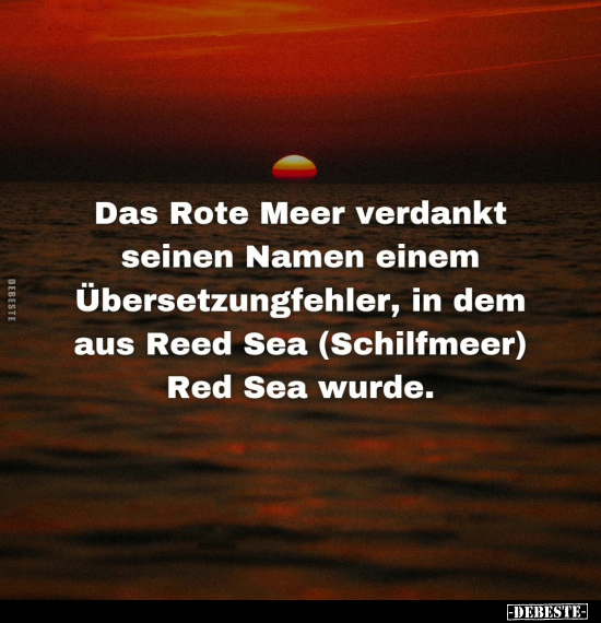 Das Rote Meer verdankt seinen Namen.. - Lustige Bilder | DEBESTE.de