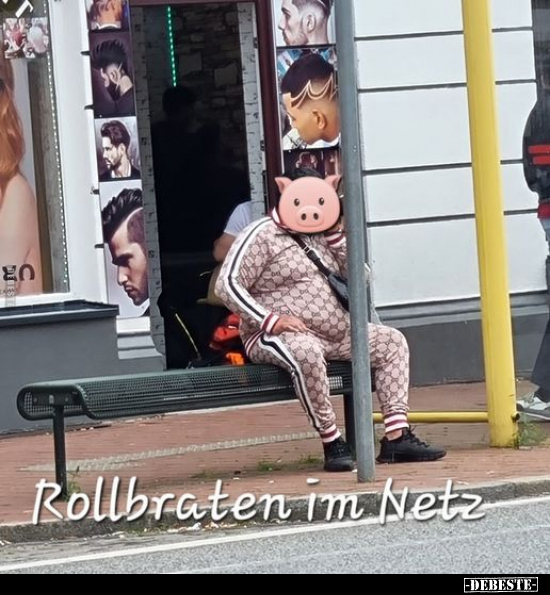 Rollbraten im Netz... - Lustige Bilder | DEBESTE.de