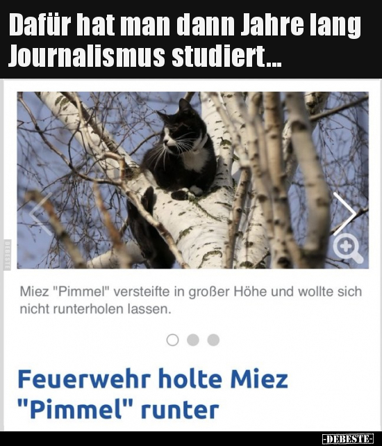 Dafür hat man dann Jahre lang Journalismus studiert... - Lustige Bilder | DEBESTE.de