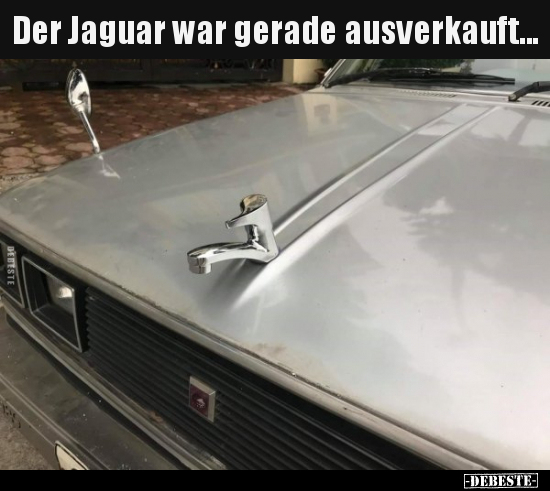 Der Jaguar war gerade ausverkauft... - Lustige Bilder | DEBESTE.de