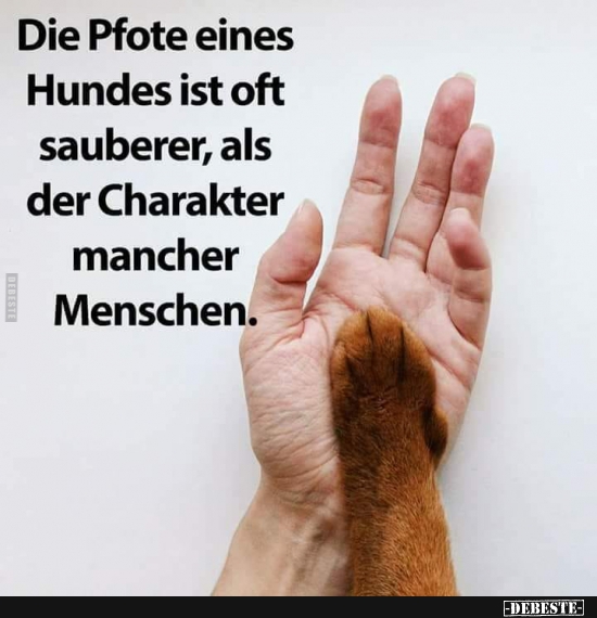 Die Pfote eines Hundes ist oft sauberer, als der Charakter.. - Lustige Bilder | DEBESTE.de