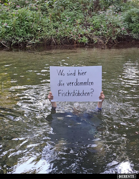 Wo sind hier die verdammten Fischstäbchen?.. - Lustige Bilder | DEBESTE.de