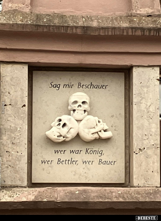 Sag mir Beschauer, wer war König, wer Bettler, wer Bauer.. - Lustige Bilder | DEBESTE.de