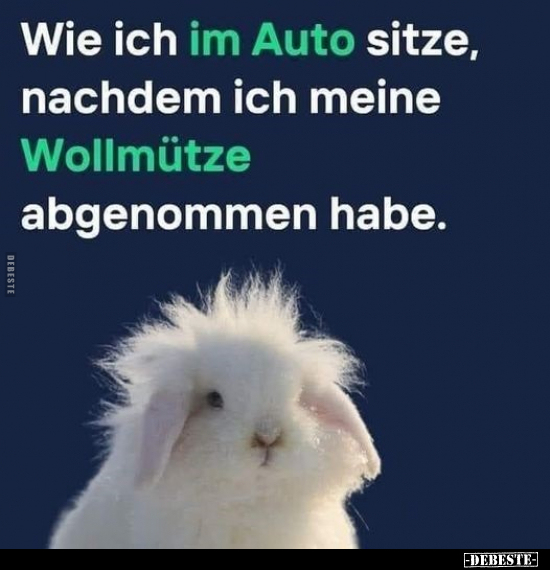 Wie ich im Auto sitze, nachdem ich meine Wollmütze.. - Lustige Bilder | DEBESTE.de