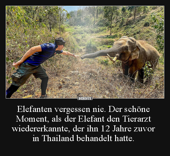 Elefanten vergessen nie. Der schöne Moment, als der.. - Lustige Bilder | DEBESTE.de