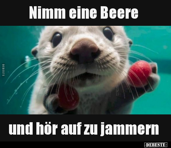Nimm eine Beere und hör auf zu jammern.. - Lustige Bilder | DEBESTE.de