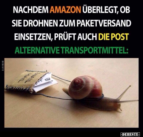 Nachdem Amazon überlegt, ob sie Drohnen zum Paketversand.. - Lustige Bilder | DEBESTE.de