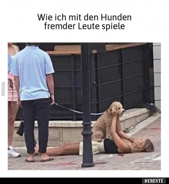 Wie ich mit den Hunden fremder Leute spiele.. - Lustige Bilder | DEBESTE.de