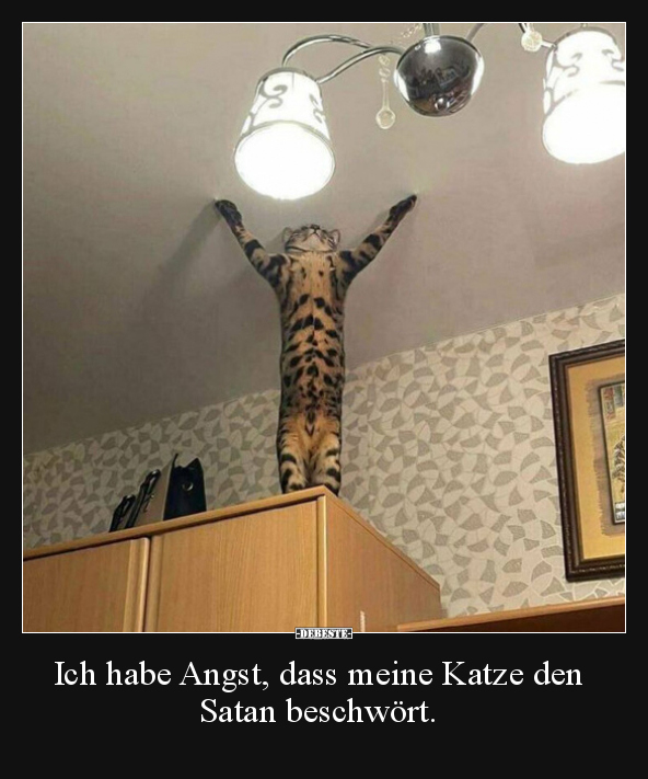 Ich habe Angst, dass meine Katze den Satan beschwört... - Lustige Bilder | DEBESTE.de