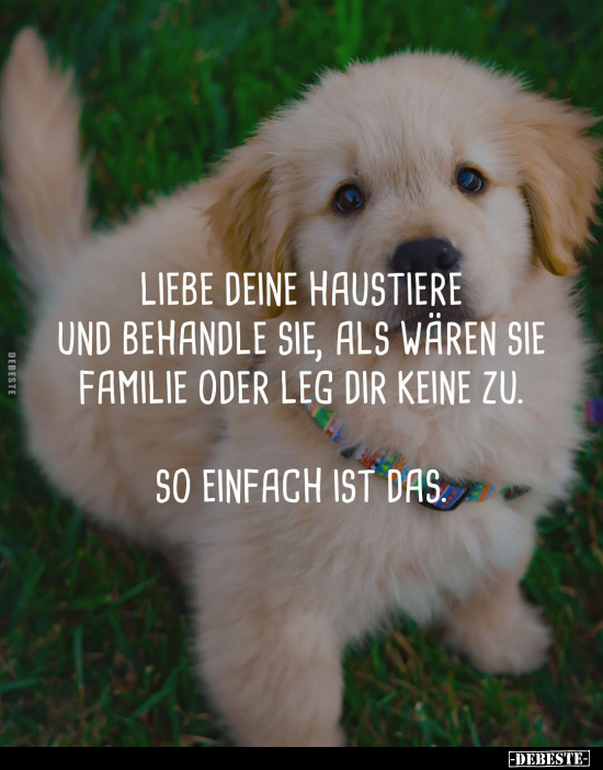 Liebe deine Haustiere und behandle sie, als wären sie.. - Lustige Bilder | DEBESTE.de