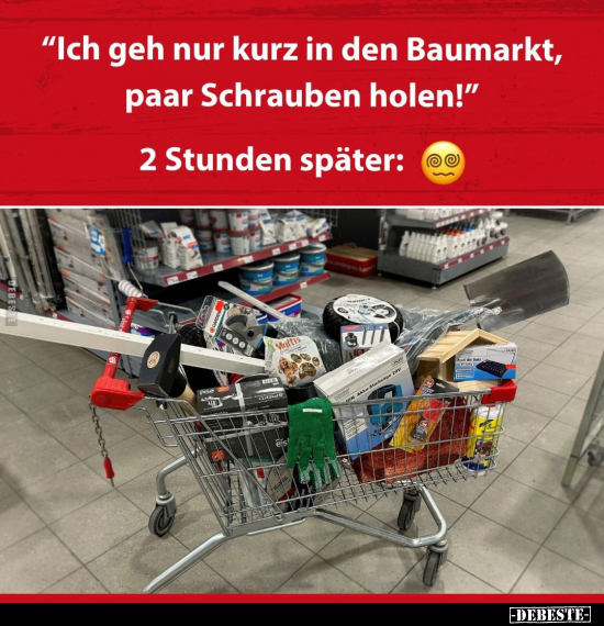 "Ich geh nur kurz in den Baumarkt, paar Schrauben.." - Lustige Bilder | DEBESTE.de