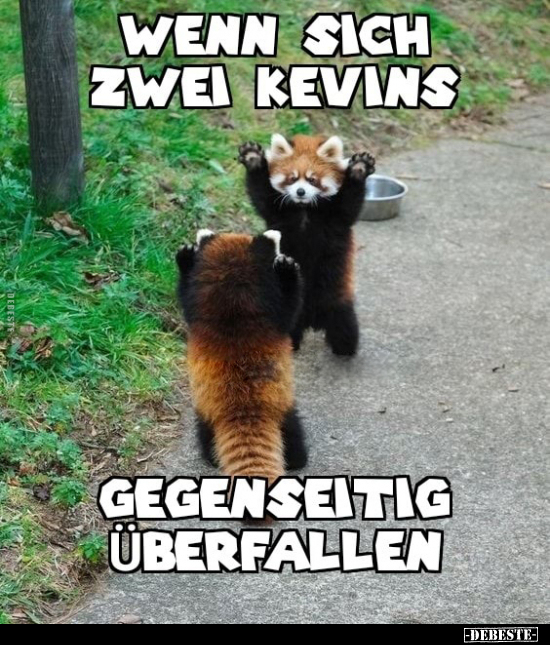 Wenn sich zwei Kevins gegenseitig überfallen... - Lustige Bilder | DEBESTE.de