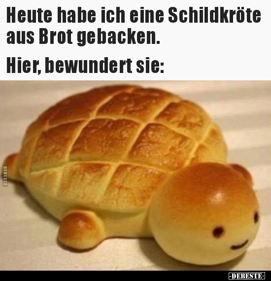 Heute habe ich eine Schildkröte aus Brot gebacken... - Lustige Bilder | DEBESTE.de