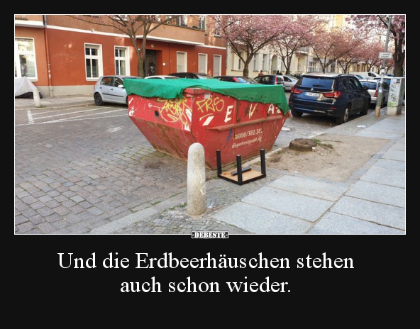 Und die Erdbeerhäuschen stehen auch schon wieder... - Lustige Bilder | DEBESTE.de