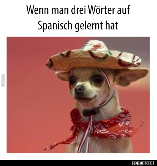 Wenn man drei Wörter auf Spanisch gelernt hat.. - Lustige Bilder | DEBESTE.de