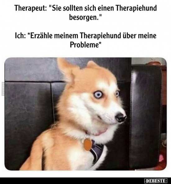 Therapeut: "Sie sollten sich einen Therapiehund.." - Lustige Bilder | DEBESTE.de