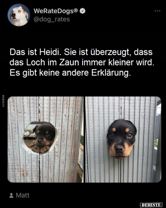 Das ist Heidi. Sie ist überzeugt, dass das Loch im Zaun.. - Lustige Bilder | DEBESTE.de