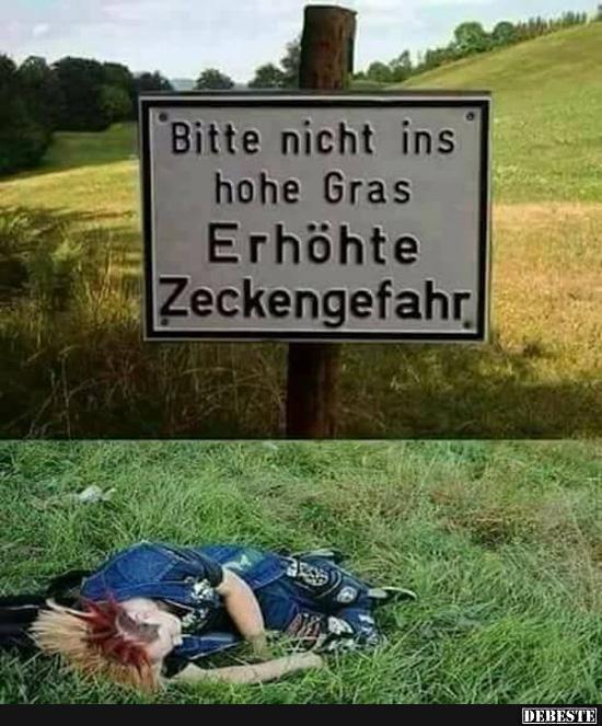 Bitte nicht ins hohe Gras Erhöhte Zeckengefahr.. - Lustige Bilder | DEBESTE.de