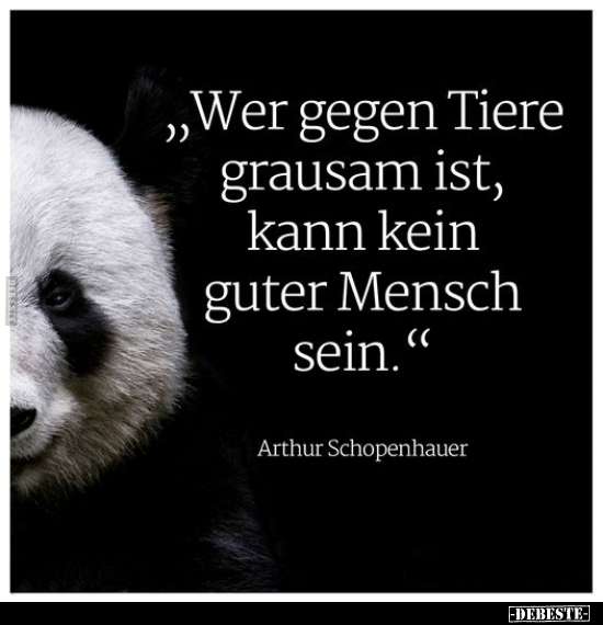 „Wer gegen Tiere grausam ist, kann kein.." - Lustige Bilder | DEBESTE.de