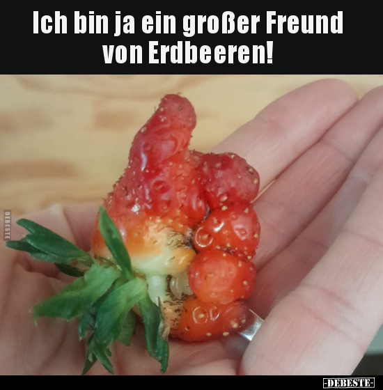 Ich bin ja ein großer Freund von Erdbeeren!.. - Lustige Bilder | DEBESTE.de