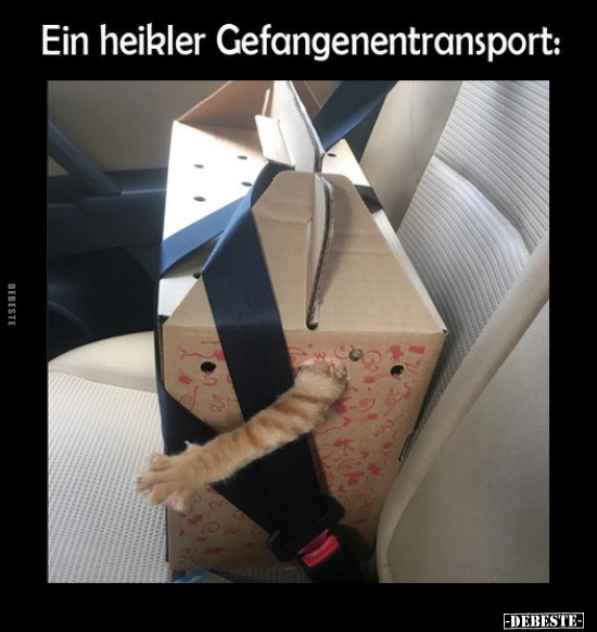 Ein heikler Gefangenentransport.. - Lustige Bilder | DEBESTE.de
