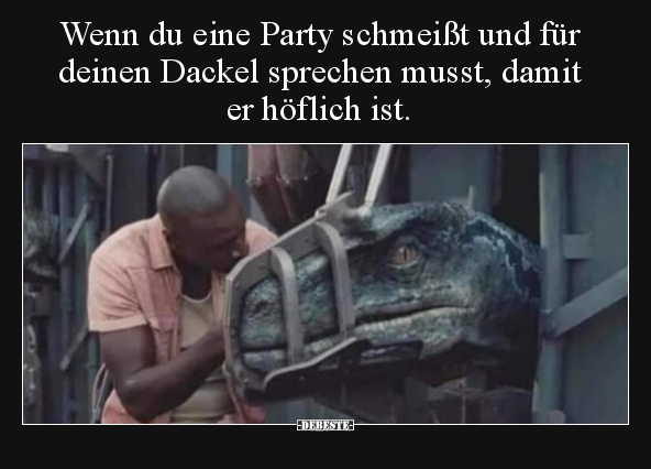 Wenn du eine Party schmeißt und für deinen Dackel sprechen.. - Lustige Bilder | DEBESTE.de
