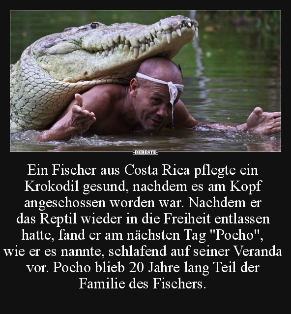 Ein Fischer aus Costa Rica pflegte ein Krokodil gesund.. - Lustige Bilder | DEBESTE.de