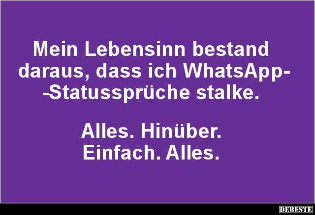 Mein Lebensinn bestand daraus, dass ich WhatsApp-Statussprüche.. - Lustige Bilder | DEBESTE.de