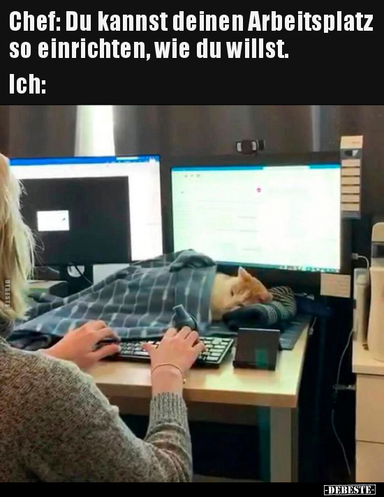 Chef: Du kannst deinen Arbeitsplatz so einrichten, wie du.. - Lustige Bilder | DEBESTE.de