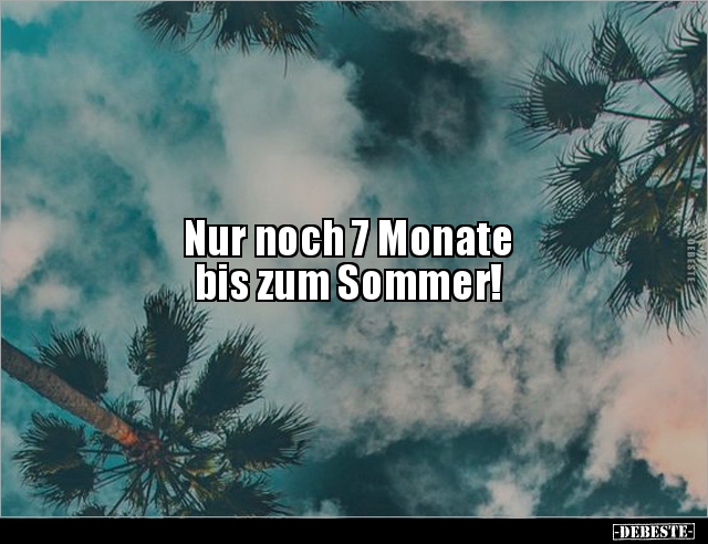 Nur noch 7 Monate bis zum Sommer!.. - Lustige Bilder | DEBESTE.de