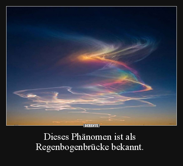 Dieses Phänomen ist als Regenbogenbrücke bekannt... - Lustige Bilder | DEBESTE.de