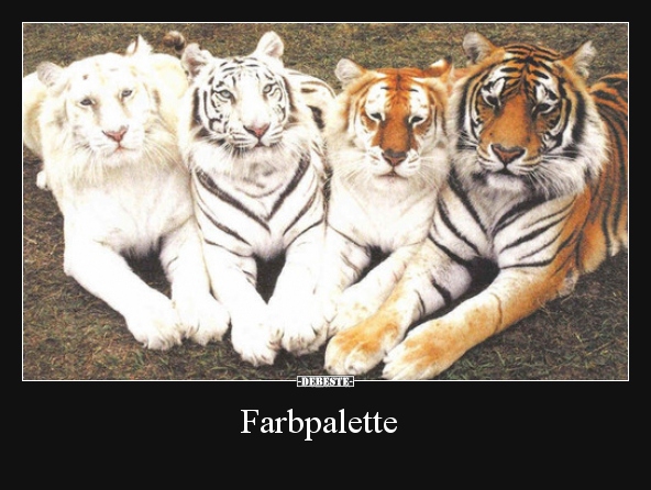 Farbpalette.. - Lustige Bilder | DEBESTE.de