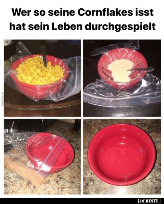 Wer so seine Cornflakes isst hat sein Leben.. - Lustige Bilder | DEBESTE.de