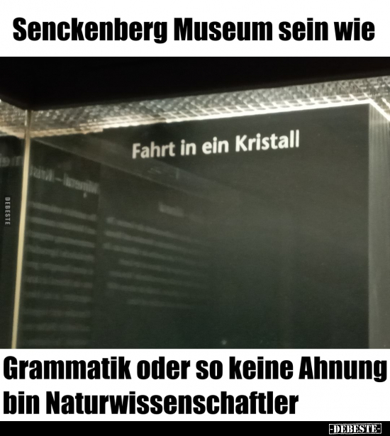 Senckenberg Museum sein wie.. - Lustige Bilder | DEBESTE.de