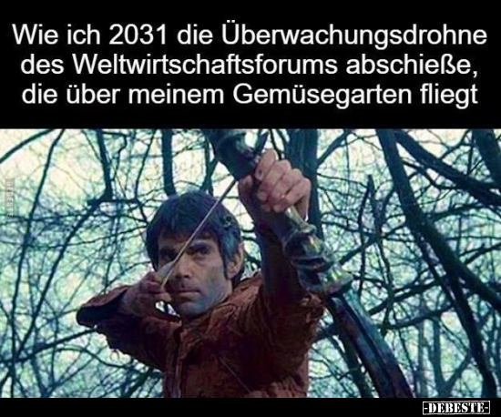 Wie ich 2031 die Überwachungsdrohne.. - Lustige Bilder | DEBESTE.de