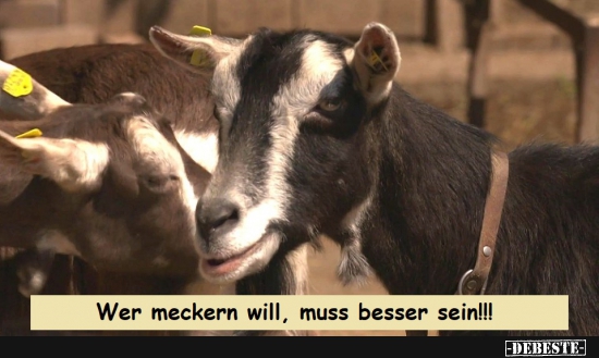 Wer meckern will, muss besser sein!!! - Lustige Bilder | DEBESTE.de