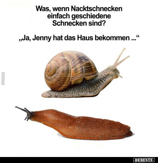 Was, wenn Nacktschnecken einfach geschiedene Schnecken.. - Lustige Bilder | DEBESTE.de