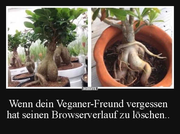 Wenn dein Veganer-Freund vergessen hat seinen.. - Lustige Bilder | DEBESTE.de