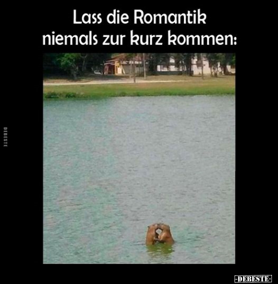 Lass die Romantik niemals zur kurz kommen.. - Lustige Bilder | DEBESTE.de