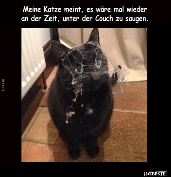 Meine Katze meint, es wäre mal wieder an der Zeit.. - Lustige Bilder | DEBESTE.de