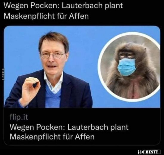 Wegen Pocken: Lauterbach plant Maskenpflicht für Affen.. - Lustige Bilder | DEBESTE.de