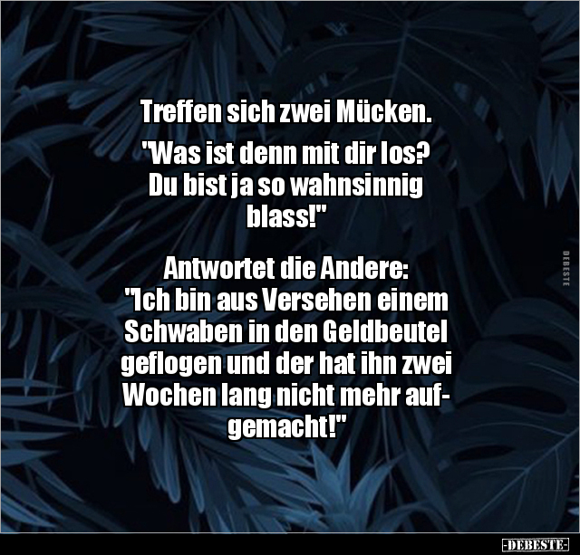 Treffen sich zwei Mücken. "Was ist denn mit dir los?.." - Lustige Bilder | DEBESTE.de