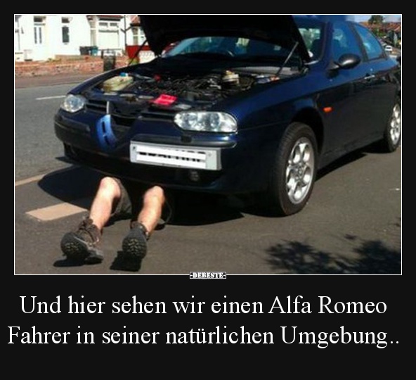Und hier sehen wir einen Alfa Romeo Fahrer in seiner.. - Lustige Bilder | DEBESTE.de