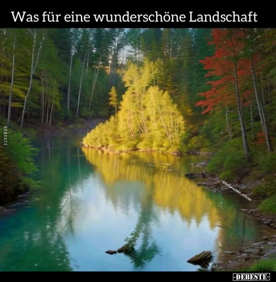 Was für eine wunderschöne Landschaft... - Lustige Bilder | DEBESTE.de
